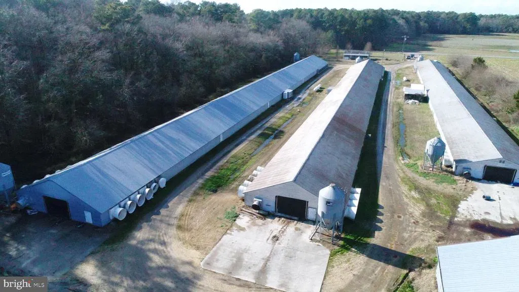 Poultry Farm for Sale in Maryland Dorchester | 3 Houses | 59,000 Sq. Ft. photo