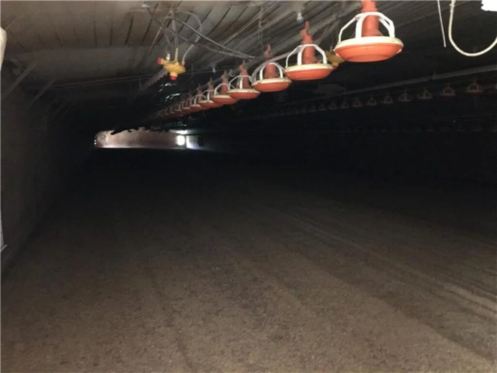 8-House | Commercial Chicken Houses for Sale in Arkansas photo