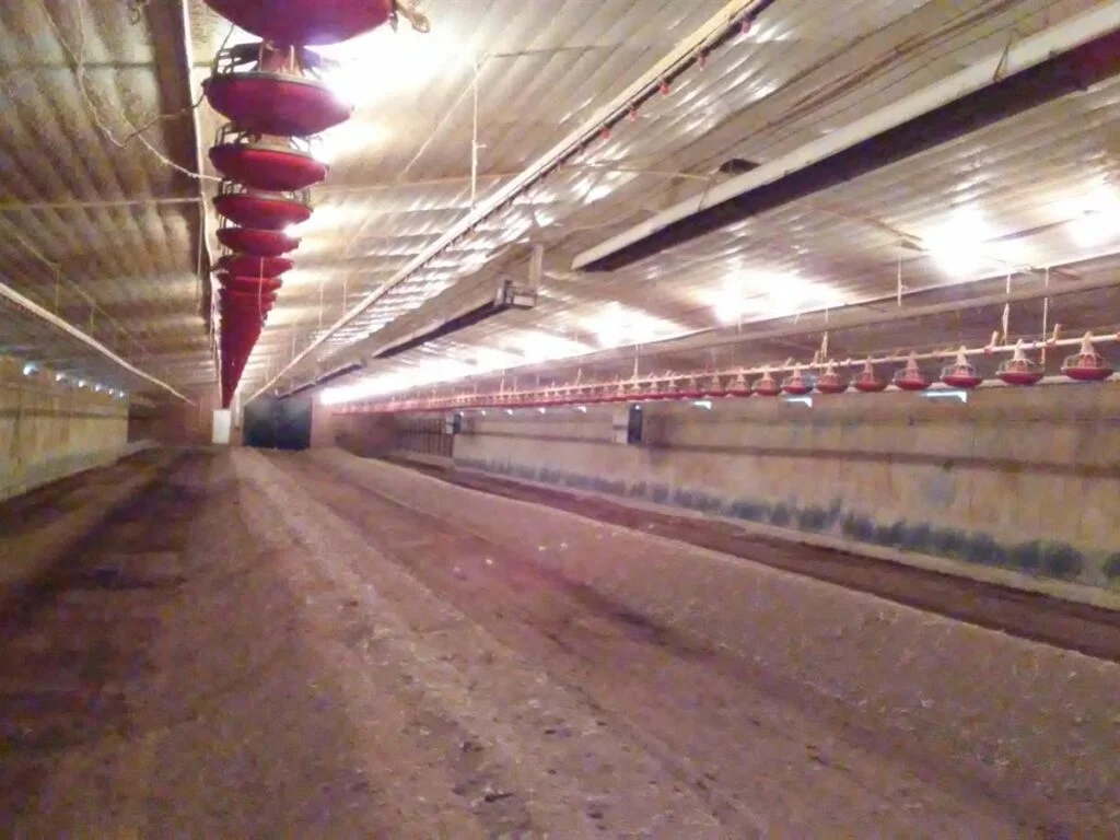 High-Production Chicken Farms for Sale in Northwest Arkansas photo
