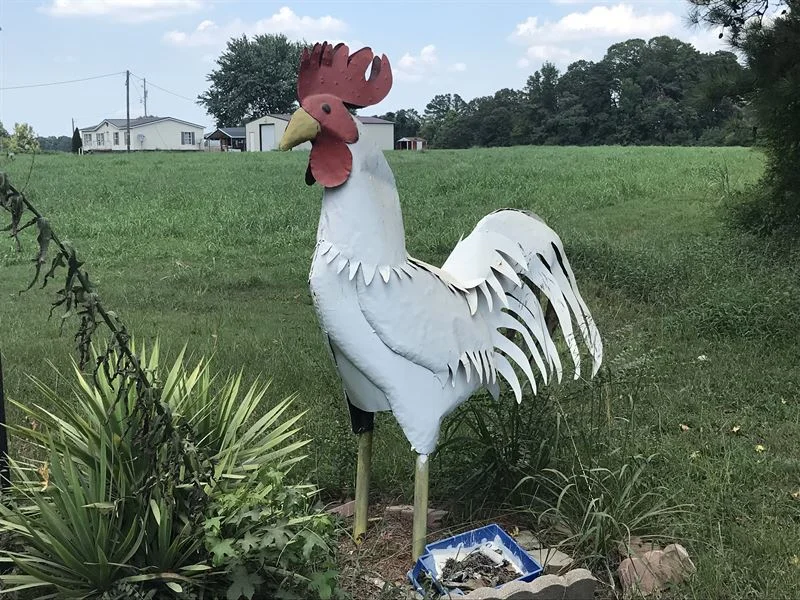 Tyson Chicken Farm For Sale in Arkansas | Breeder | 51 Acres photo