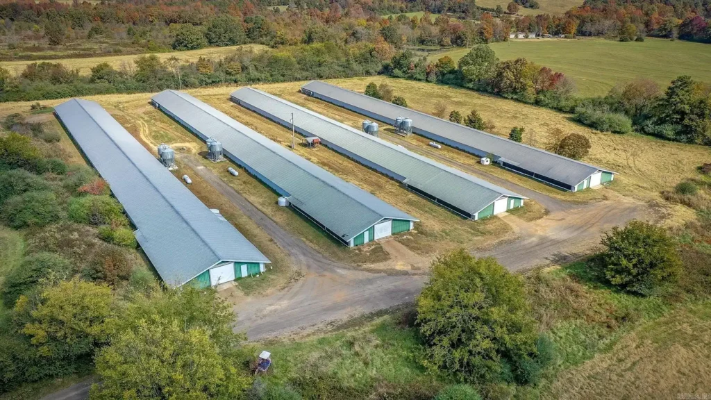 82-Acre | Chicken Farm for Sale in Clay County, Arkansas | 5BR Home & 3 Ponds