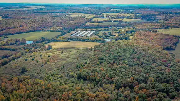 82-Acre | Chicken Farm for Sale in Clay County, Arkansas | 5BR Home & 3 Ponds photo